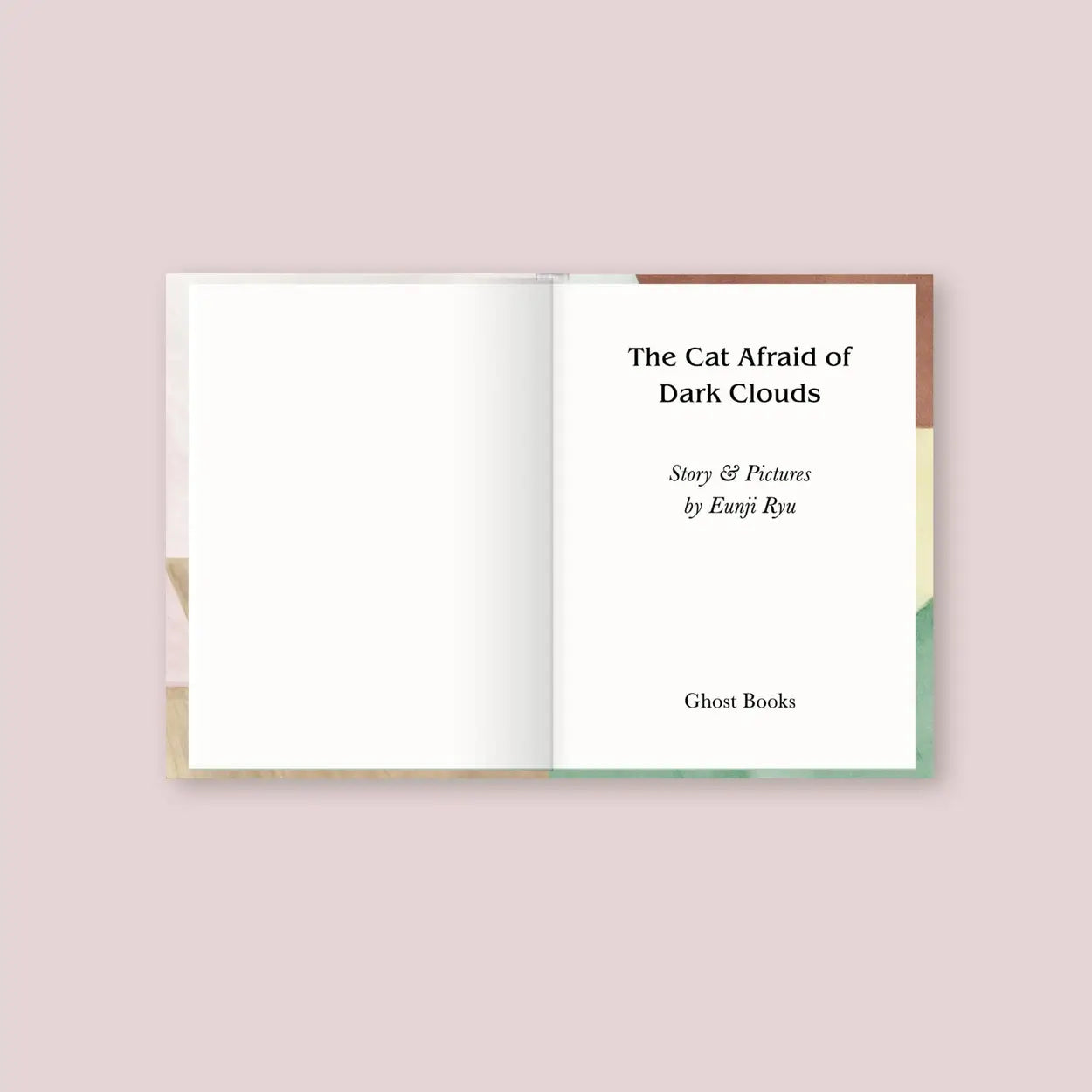 “The Cat Afraid of Dark Clouds” Picture Book