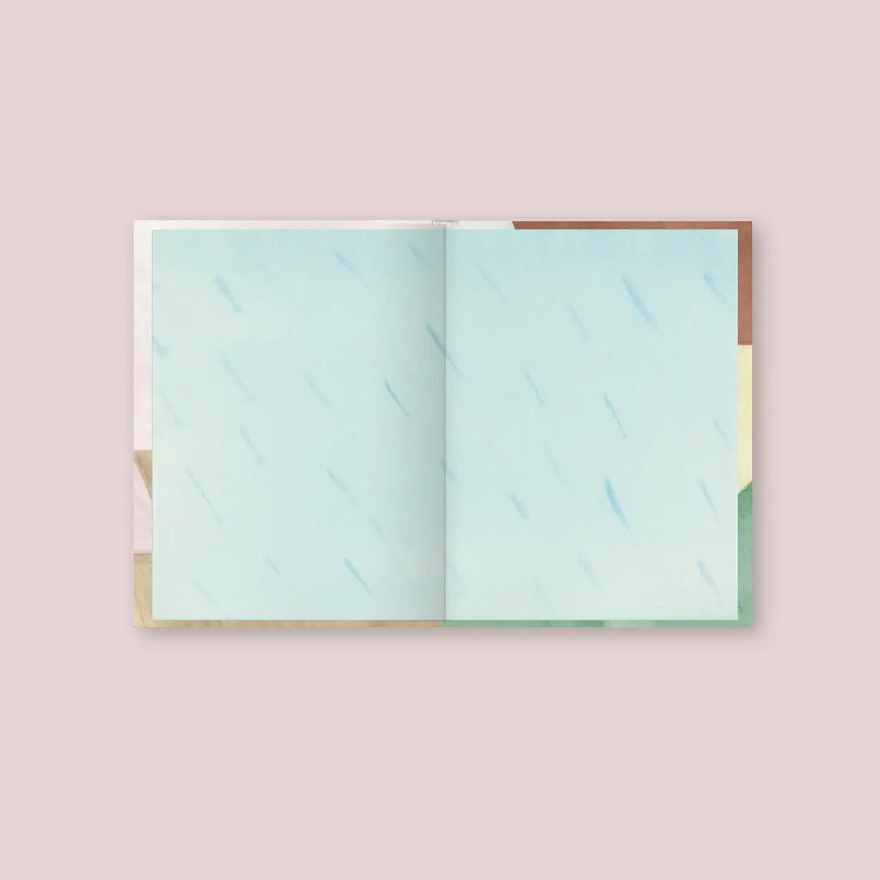 “The Cat Afraid of Dark Clouds” Picture Book