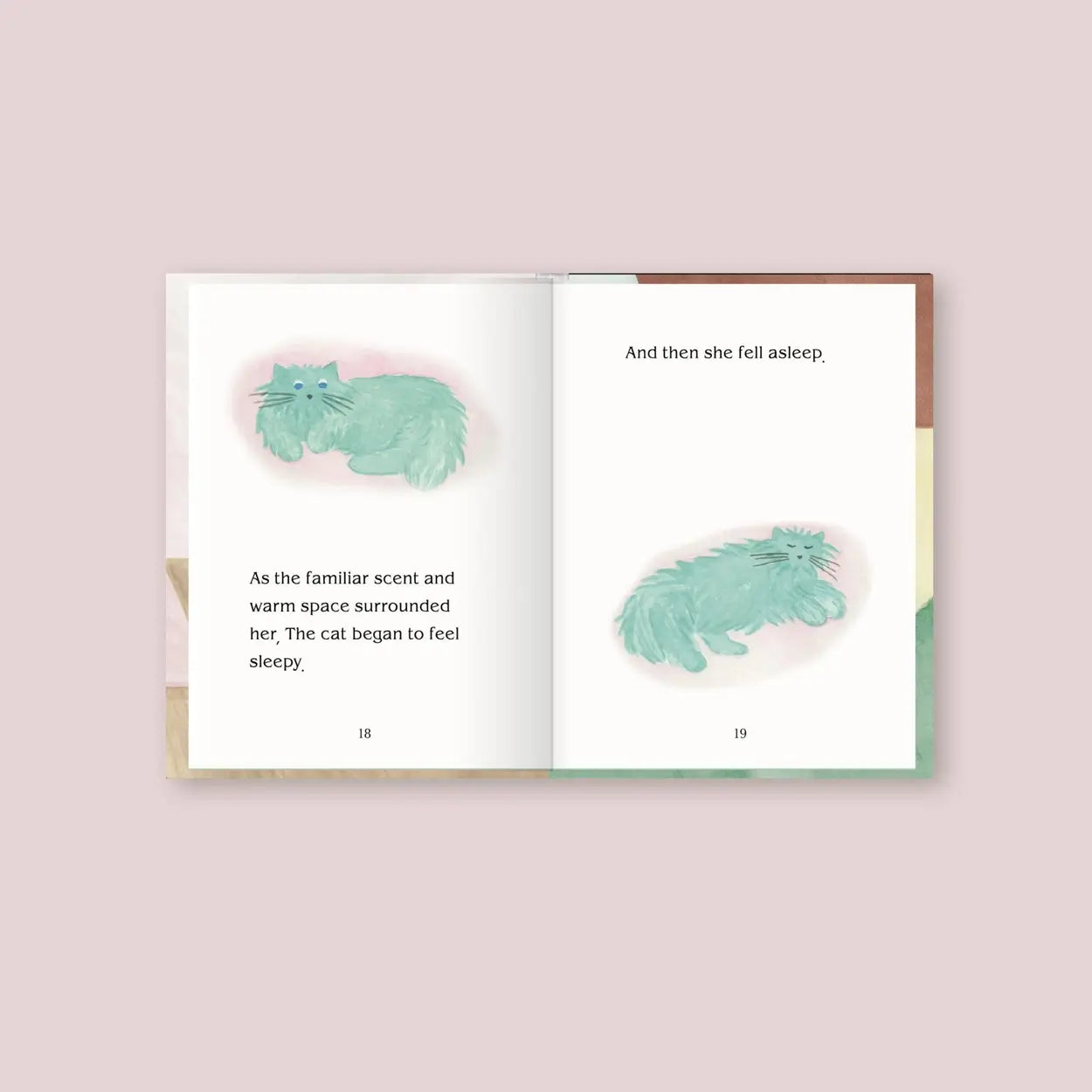 “The Cat Afraid of Dark Clouds” Picture Book