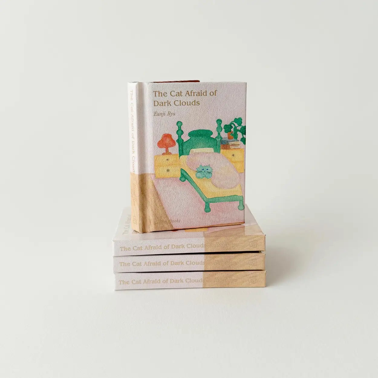 “The Cat Afraid of Dark Clouds” Picture Book