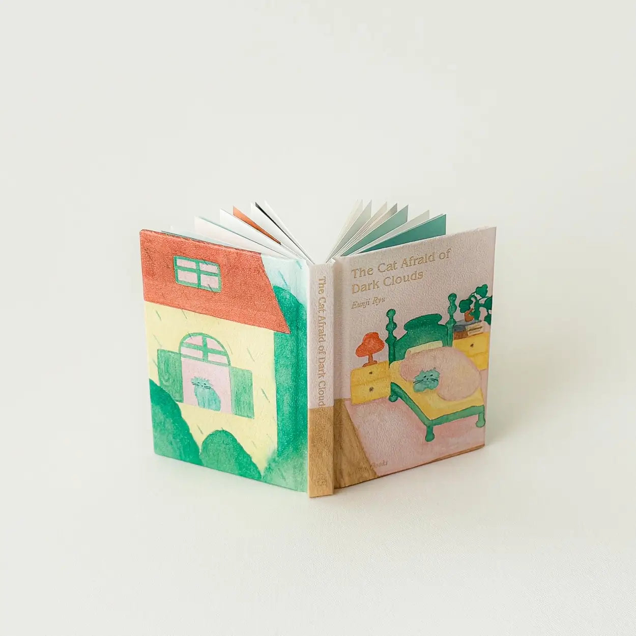 “The Cat Afraid of Dark Clouds” Picture Book