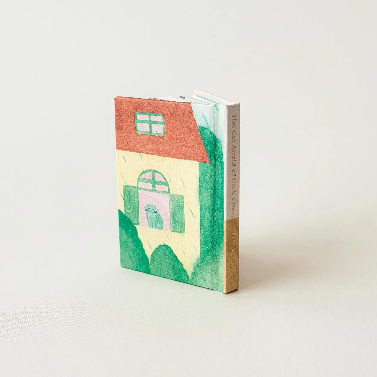 “The Cat Afraid of Dark Clouds” Picture Book