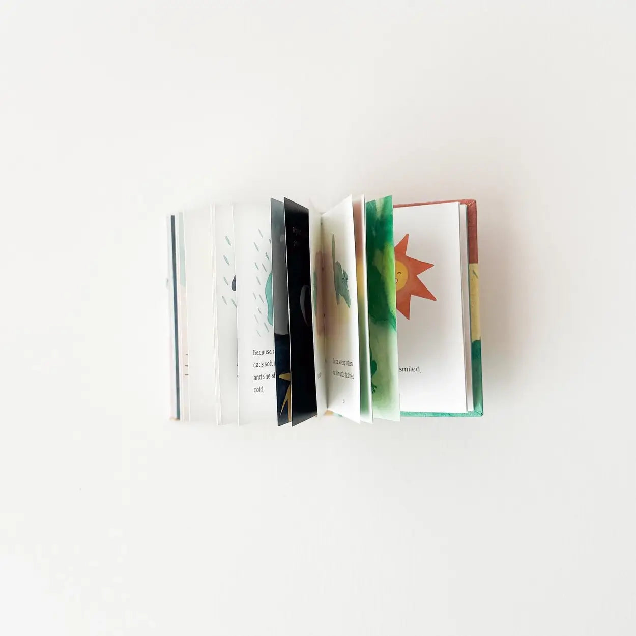 “The Cat Afraid of Dark Clouds” Picture Book