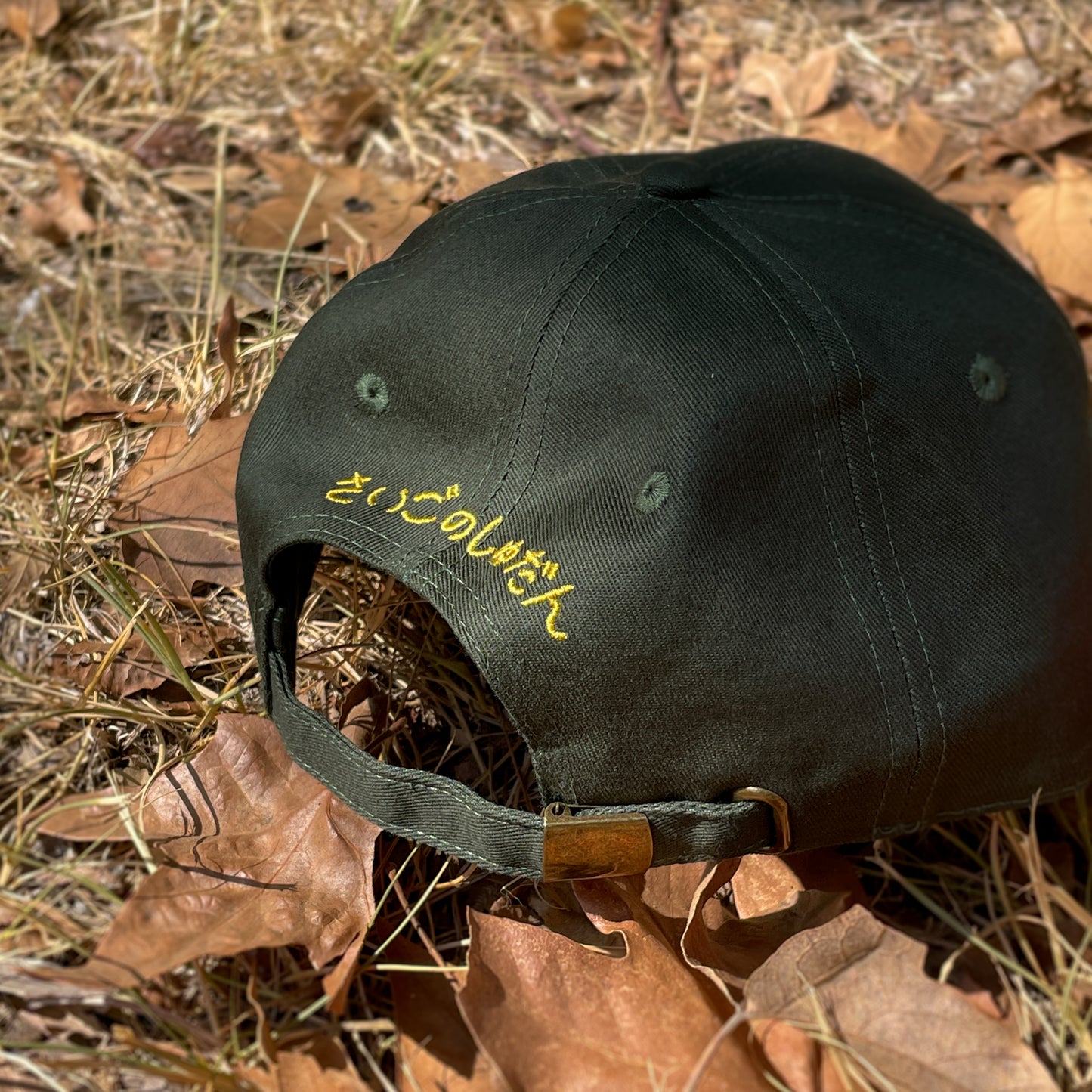 Frog Cap - Cotton Forest