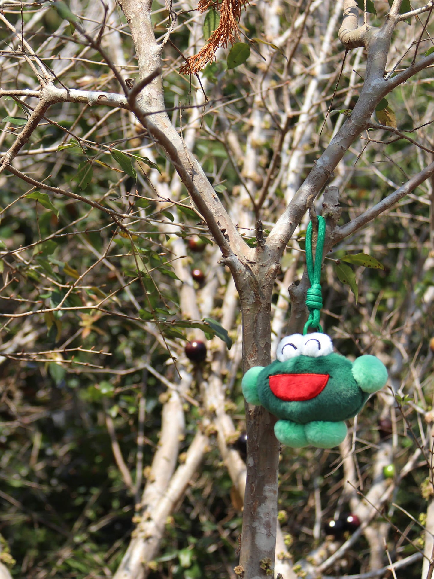 Frog Keychain