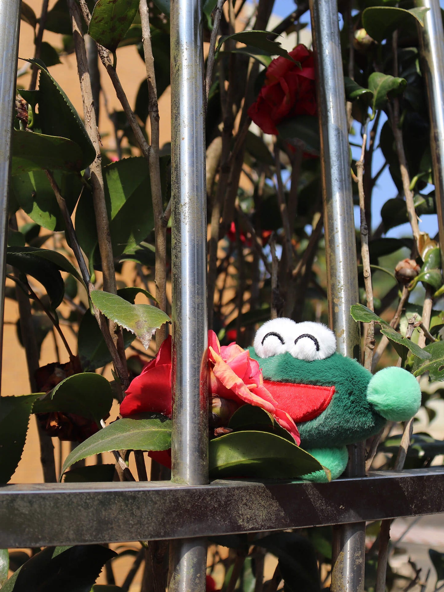 Frog Keychain