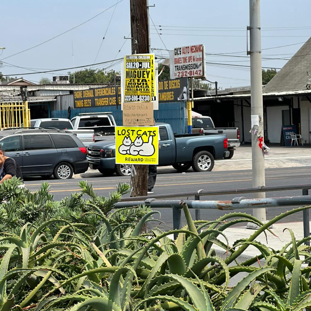 Lost Cat Hat - Corduroy Cement