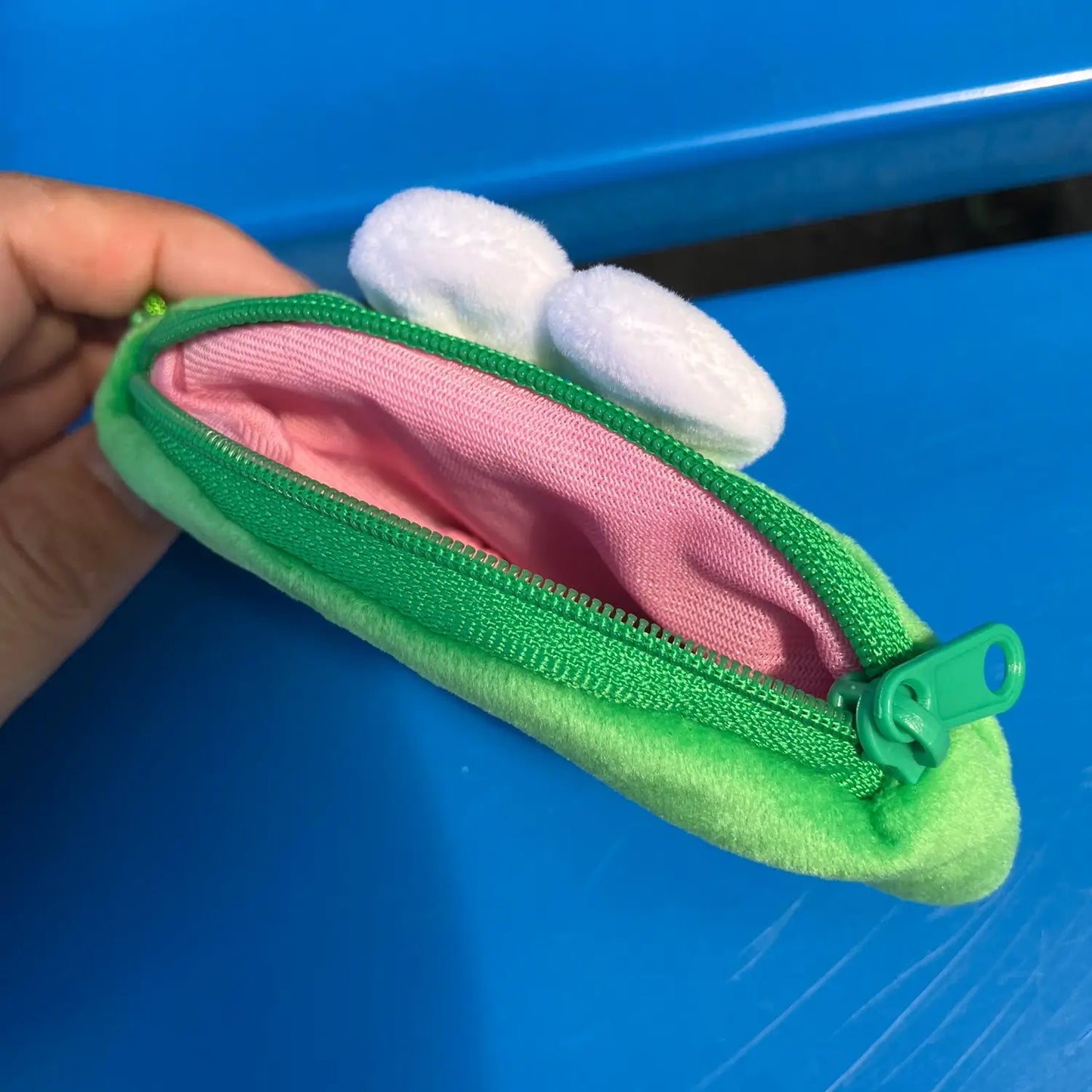 Frog Pouch