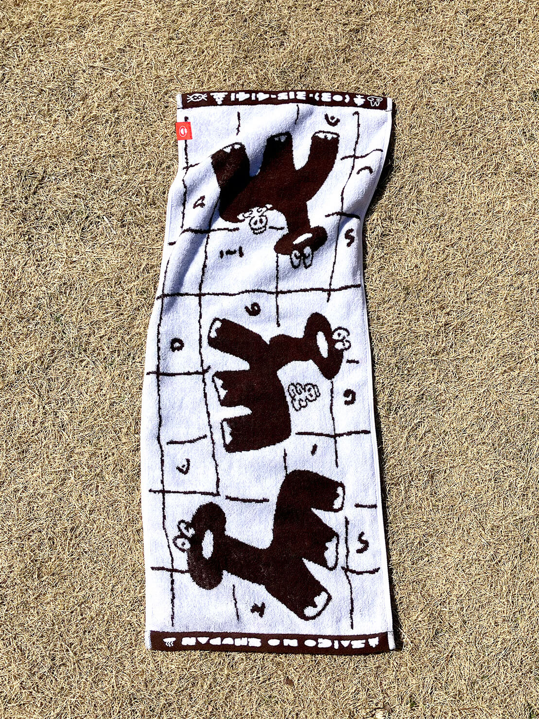 Dinosaur Onsen Hand Towel Brown