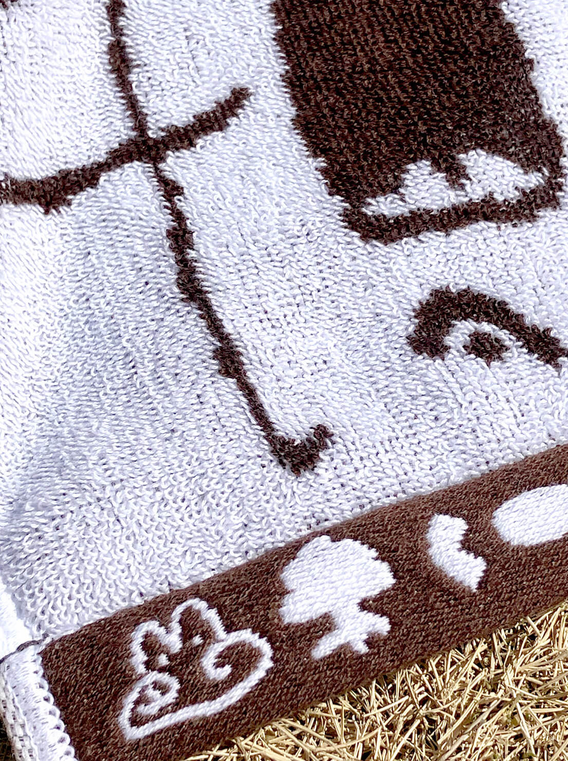 Dinosaur Onsen Hand Towel Brown