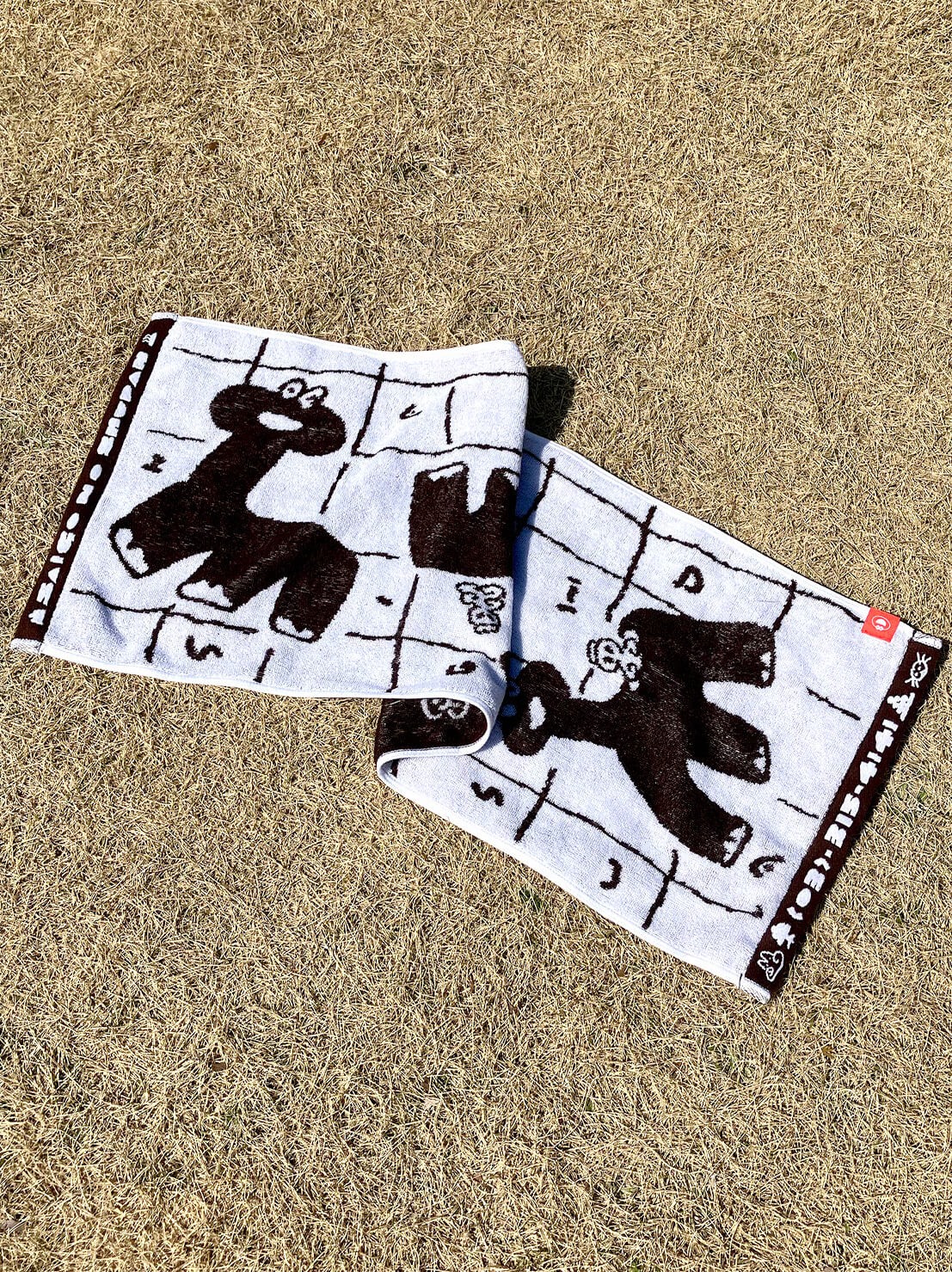 Dinosaur Onsen Hand Towel Brown