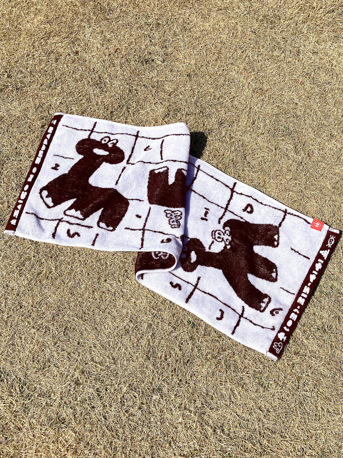 Dinosaur Onsen Hand Towel Brown