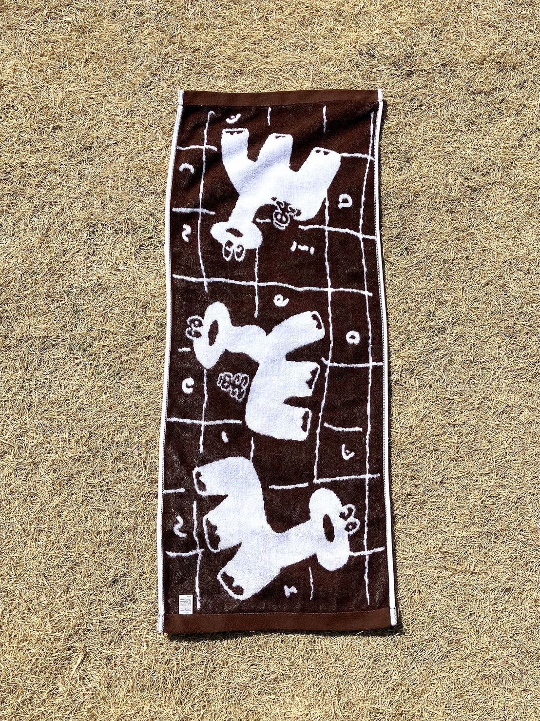 Dinosaur Onsen Hand Towel Brown