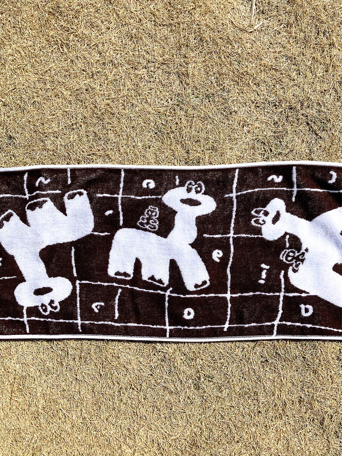Dinosaur Onsen Hand Towel Brown