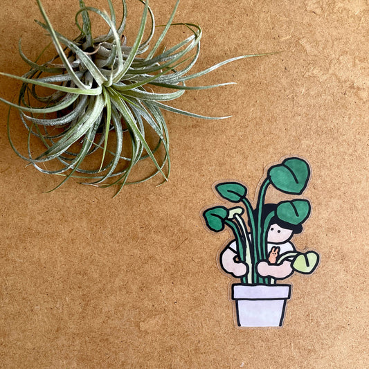 Sticker - Hug Your Plants