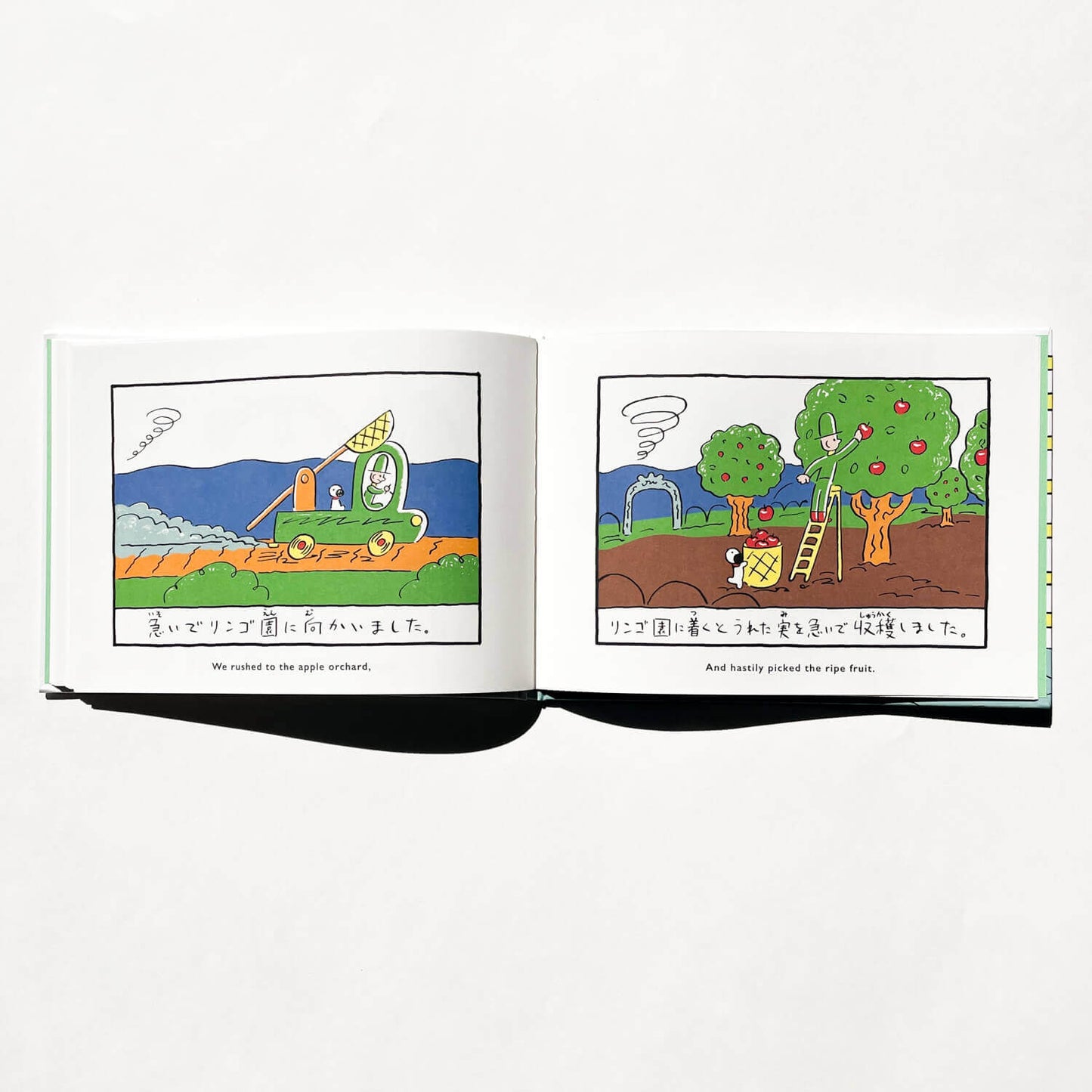 “Small story” Picture Book